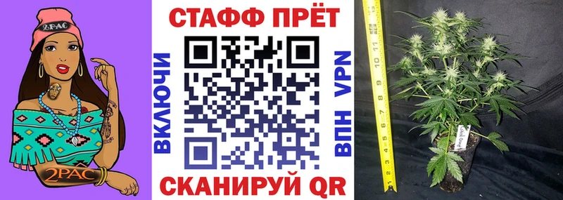 Виды наркотиков купить Короча Псилоцибиновые грибы  Меф мяу мяу  ЭКСТАЗИ  KRAKEN маркетплейс  Канабис  КОКАИН  ГАШ 